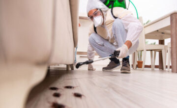Residential pest removal services