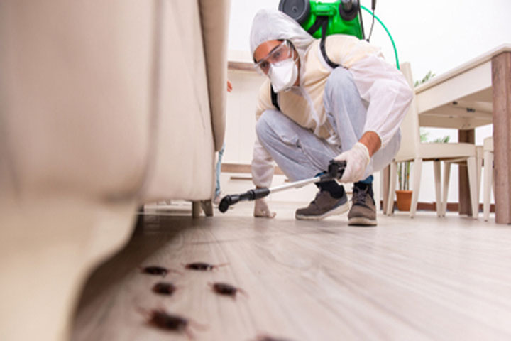 Residential pest removal services