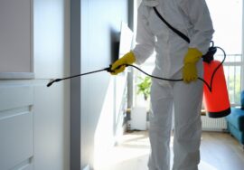 Residential pest removal services