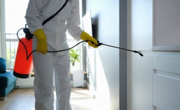 Residential pest removal services