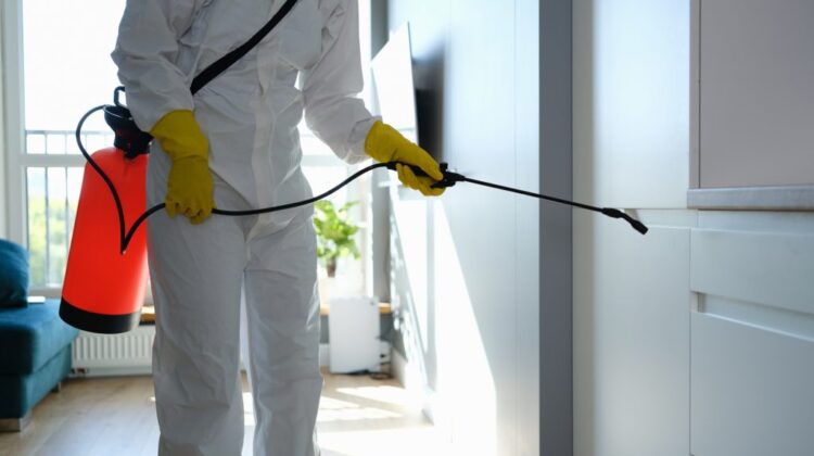 Residential pest removal services