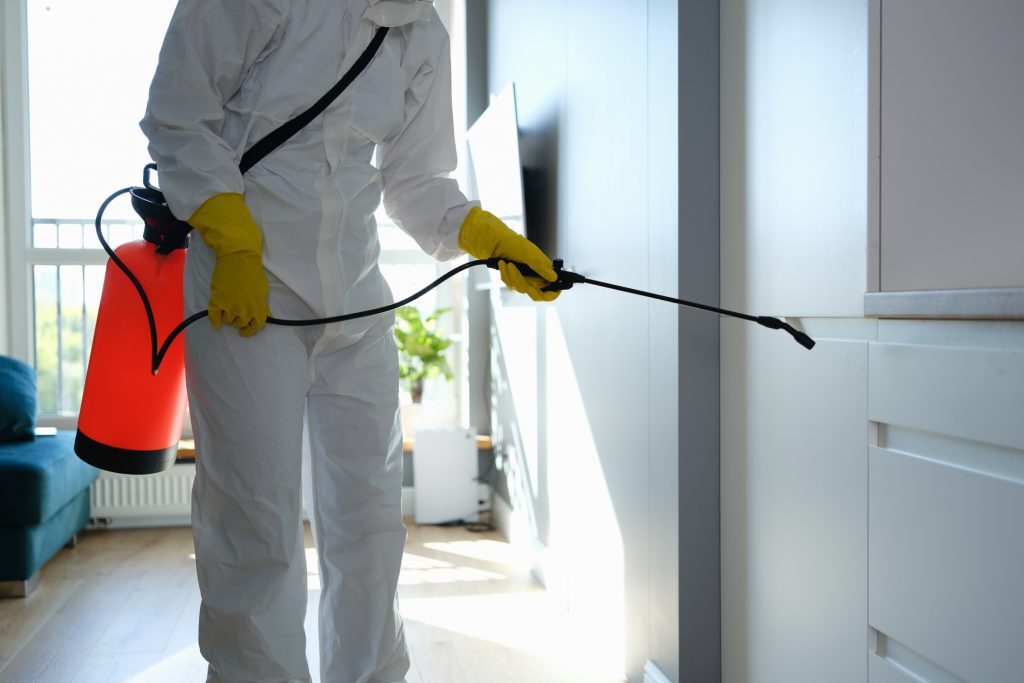 Residential pest removal services