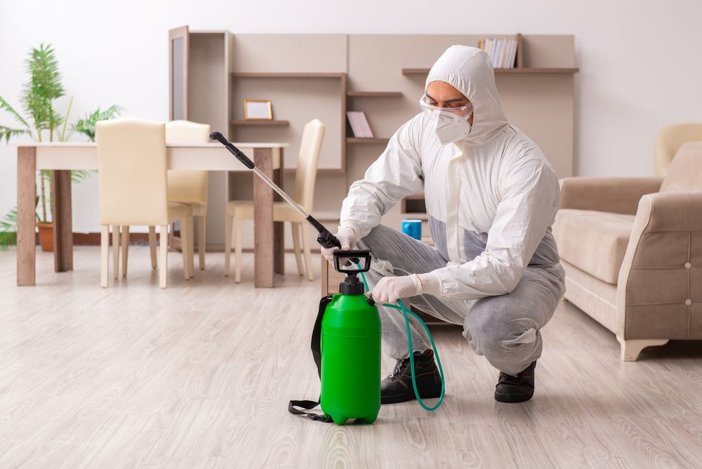 What are the Unconventional Pest Control Methods That Work?