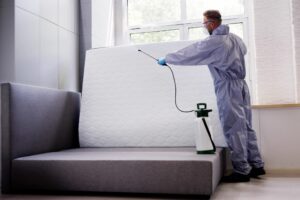 Fast, safe Professional Bed Bug Removal Services in Oshawa and Ajax by PestBye — certified pest control pros eliminate bed bugs with precision. Contact us today!