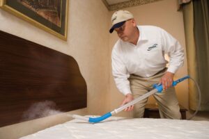 Reliable Professional Bed Bug Removal Services in Oshawa and Ajax by PestBye — experienced technicians delivering complete bed bug eradication. Book now!