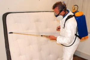 Reliable Professional Bed Bug Removal Services in Oshawa and Ajax by PestBye — experienced technicians delivering complete bed bug eradication. Book now!