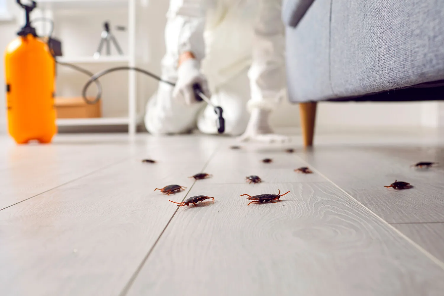 tarak2-pic4_zoom-1500x1500-7416