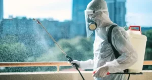 Pest Control Cost in Toronto (2026 Price Guide)