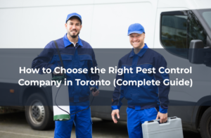 How to Choose the Right Pest Control Company in Toronto (Complete Guide)