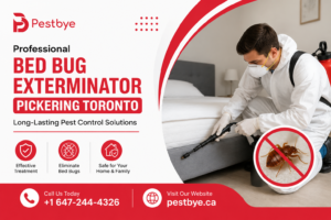 Professional Bed Bug Exterminator Pickering Toronto: Long-Lasting Pest Control Solutions