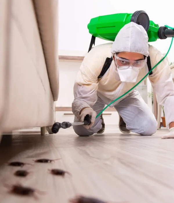 dreamstime_m_144534334-1