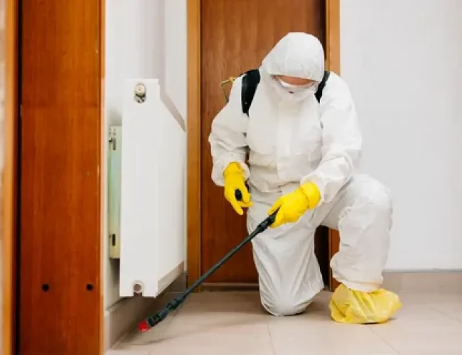 pest-control-service-in-ajax